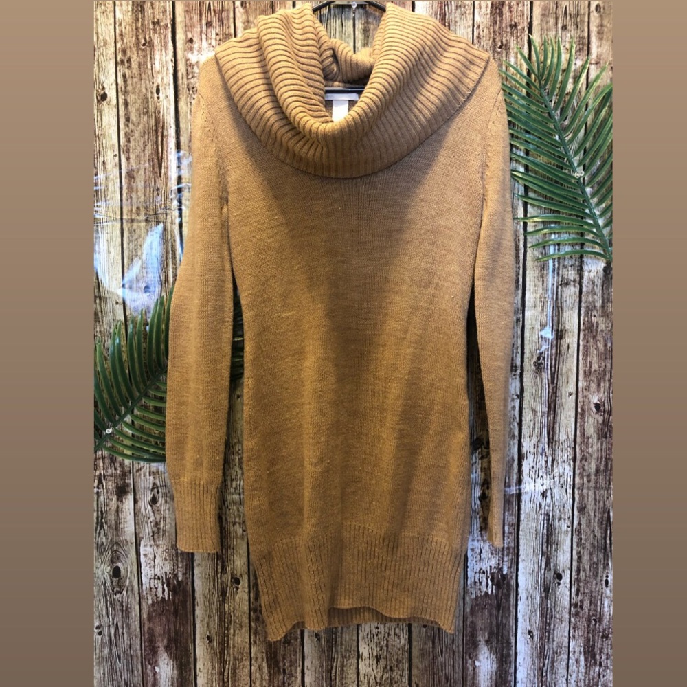 H&M turtleneck dress
